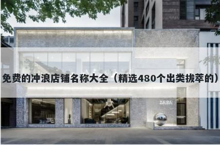 免费的冲浪店铺名称大全（精选480个出类拔萃的）