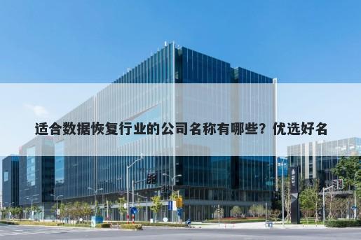 适合数据恢复行业的公司名称有哪些？优选好名