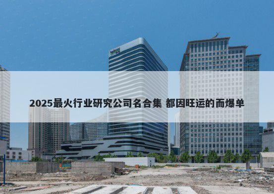 2025最火行业研究公司名合集 都因旺运的而爆单
