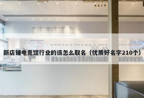 新店铺电竞馆行业的该怎么取名（优质好名字210个）