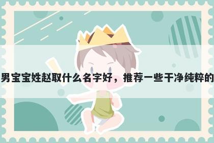 刚出生的男宝宝姓赵取什么名字好，推荐一些干净纯粹的男孩名字
