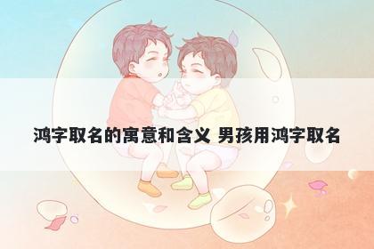 鸿字取名的寓意和含义 男孩用鸿字取名