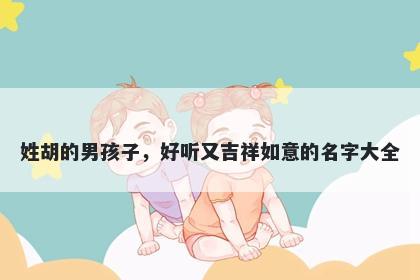 姓胡的男孩子，好听又吉祥如意的名字大全