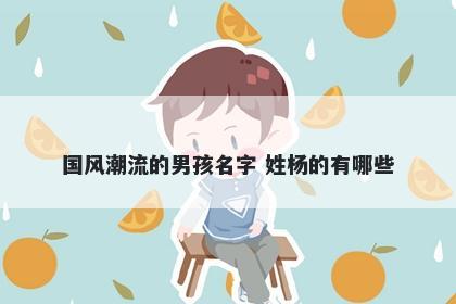 国风潮流的男孩名字 姓杨的有哪些